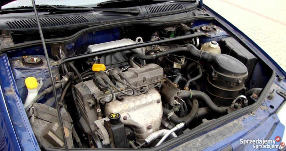 Renault Megane Classic na benzyna