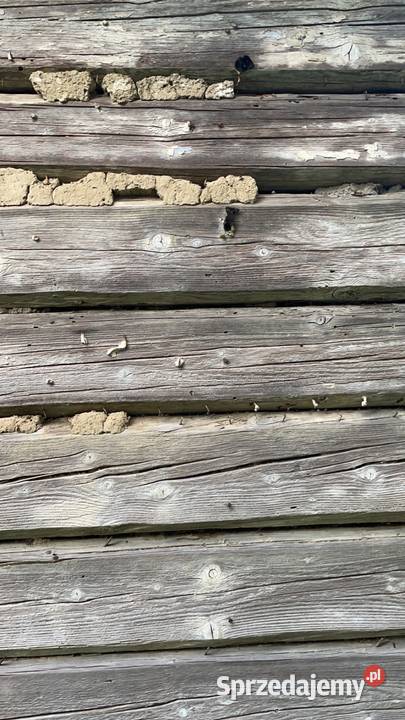 Dachówka cegły bloczki fundamentowe drewniane Niedomice