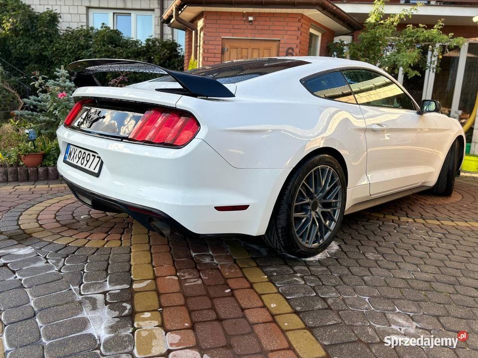 Mustang 37 3726cm3 Huta-Dąbrowa