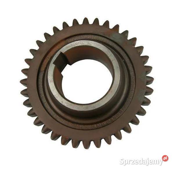 Koło III biegu Kobylnica