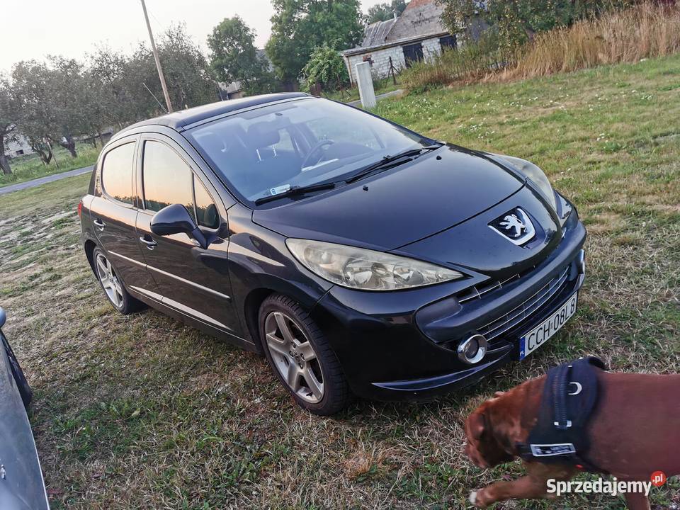 Peugot 16hdi Chełmno
