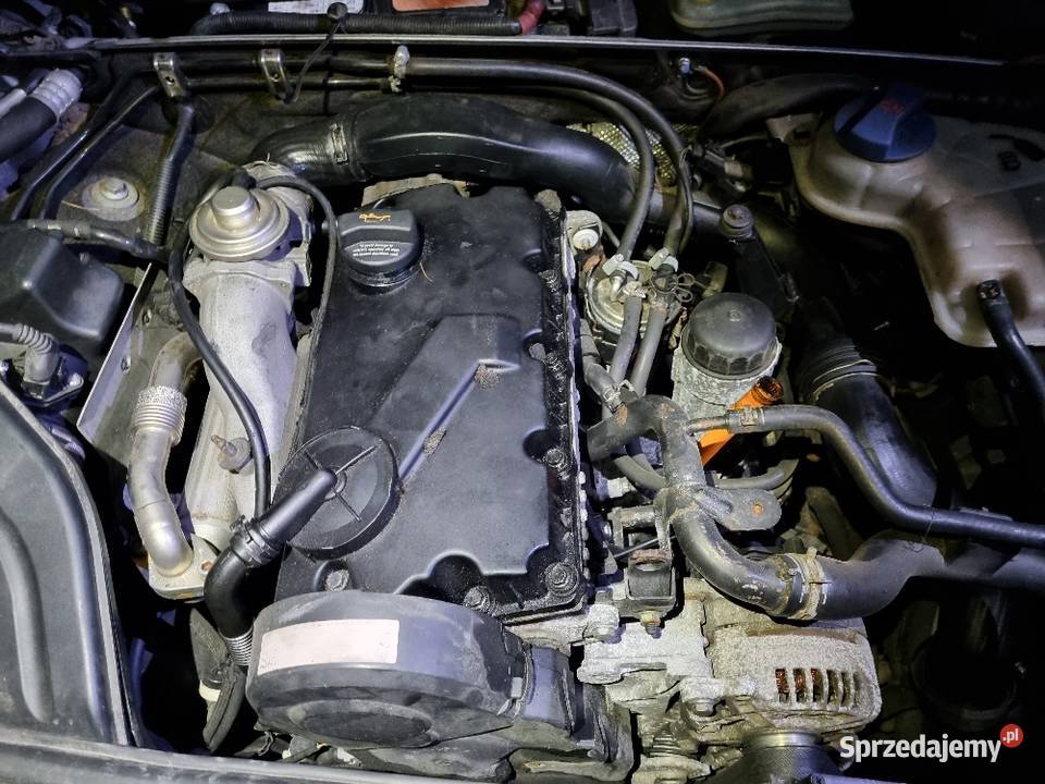 Audi A4 B6 B7 19tdi AVF 130 2004 Silnik Rok produkcji 2004 Skawina