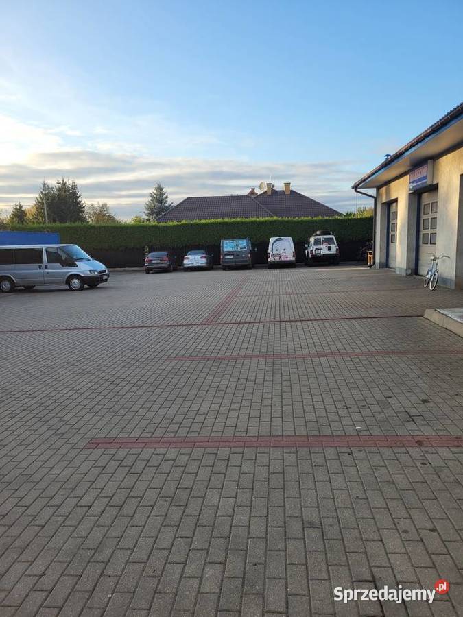 Gdzie Naprawić Forda Transita Serwis Forda dostawcze Radom