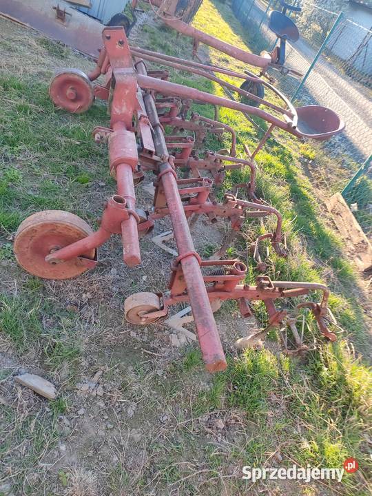 Wielorak pielaczradelka Nowy Orzechów