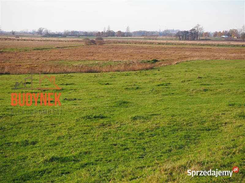 Działka rolna Krupy
