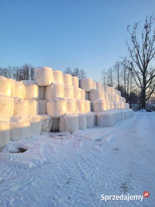 Sprzedam sianokiszonkę i słomę prasa mchale podlaskie Trzcianne