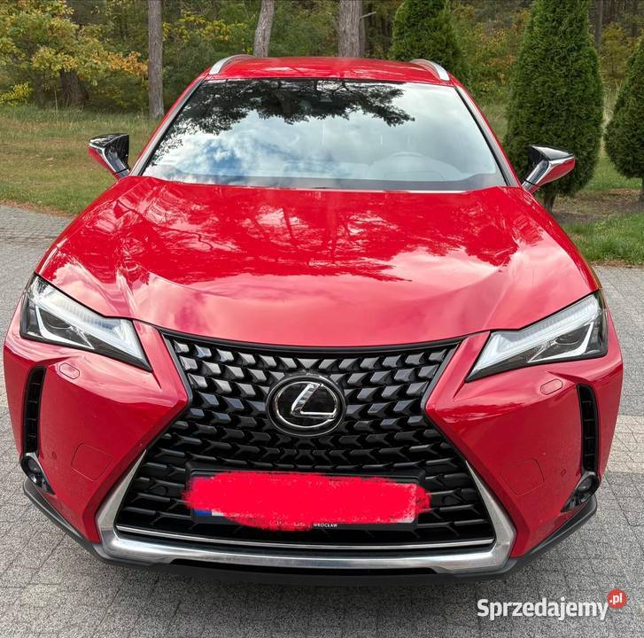Lexus UX200 Buisness 1Właściciel Salon Polska 46300km