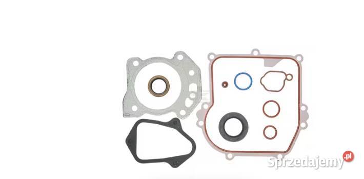 Zestaw uszczelek silnika 84006587 Kamionna