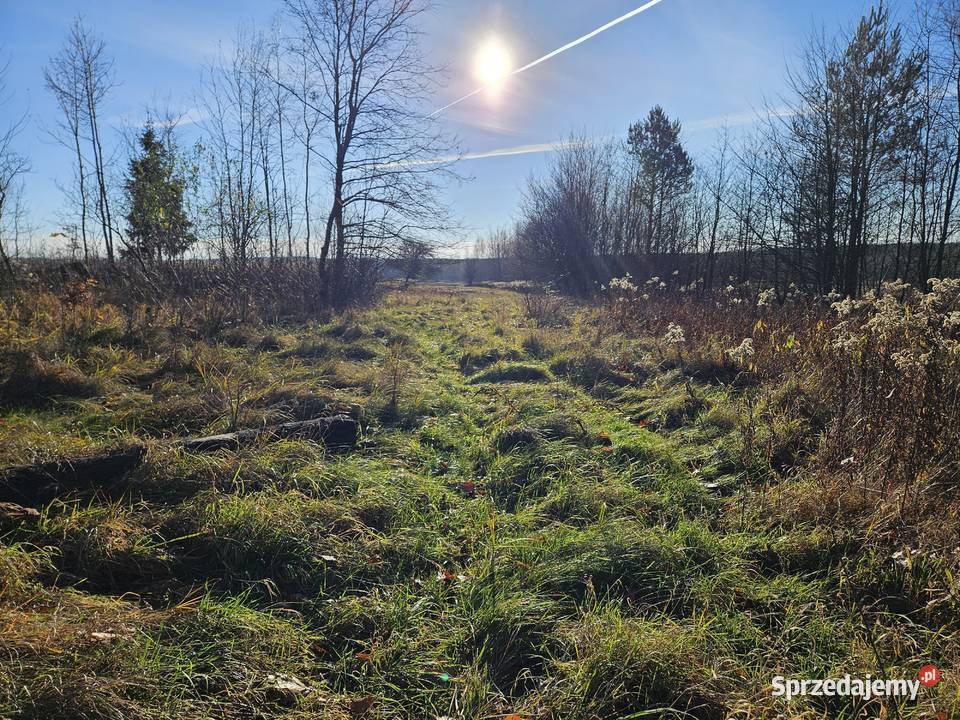 działka w otoczeniu zabudowy jednorodzinnej i Ostrowy Baranowskie sprzedam