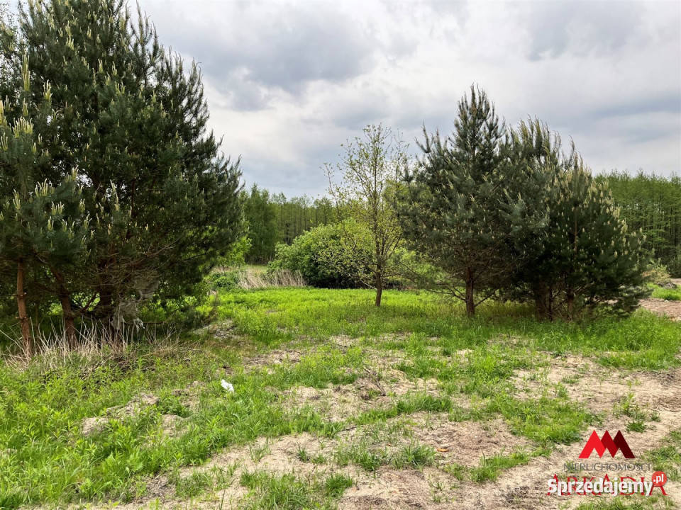 Grunt Osiek 2888m2 76zł/m2