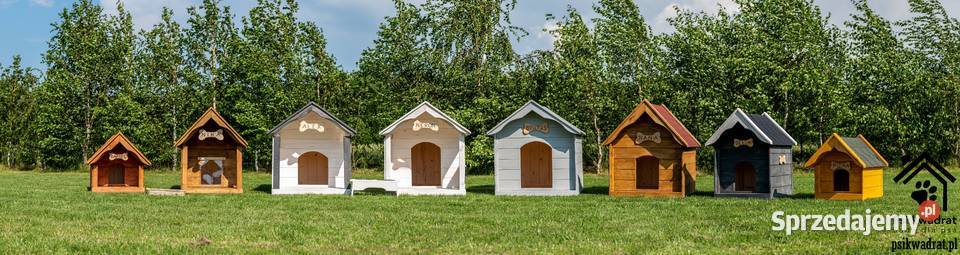 Buda dużego psa PRODUCENT WYSYŁKA CAŁA POLSKA świętokrzyskie Stopnica
