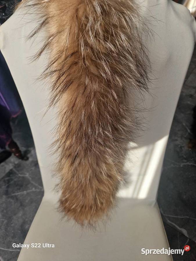 Kołnierz z jenota naturalny