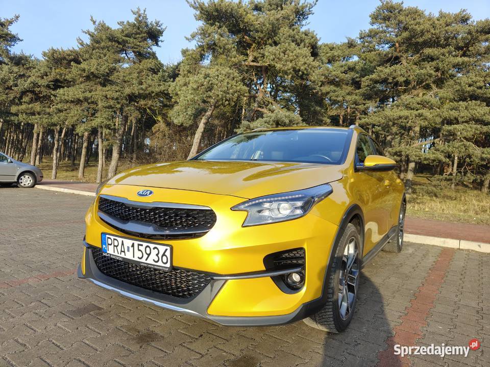 Kia XCeed 16 crdi 2020 salon Polska komputer pokładowy Rawicz