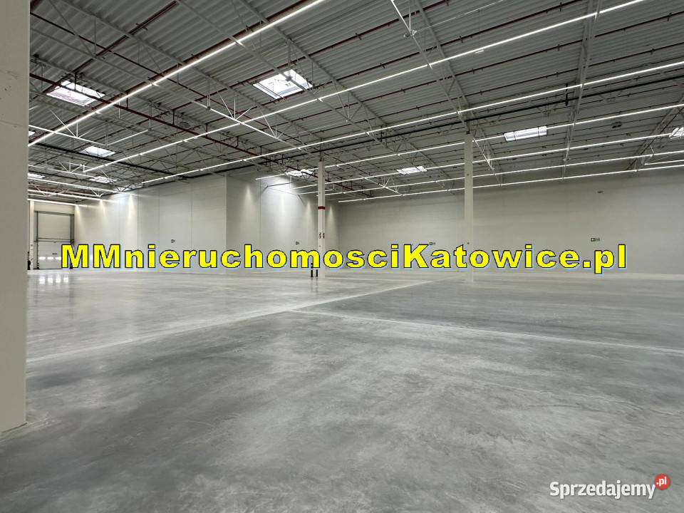 Magazyny Mysłowice A4 i S1 do wynajęcia biura 10625m2