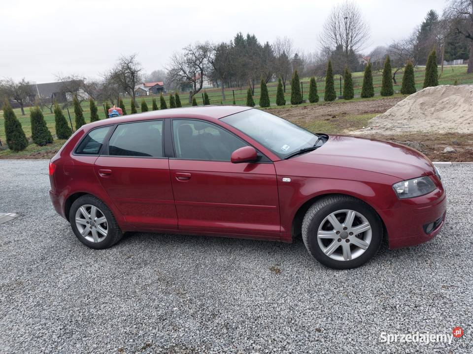 Audi A3 16 benzyna Rok produkcji 2004 Głogowiec