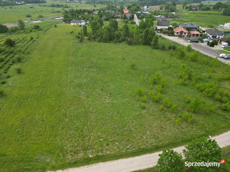 Działka budowlana SiemianiceNiewierowo Sprzedaż Niewierowo sprzedam