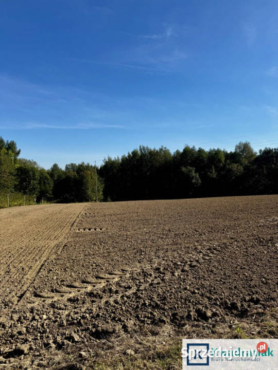 Działka 3000m2 Cierpisz