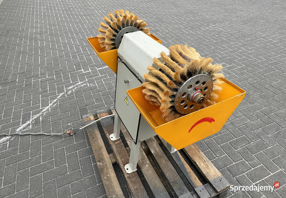 Szlifierka bębnowa do drewna PROCHERA DSB pomorskie Sierakowska Huta