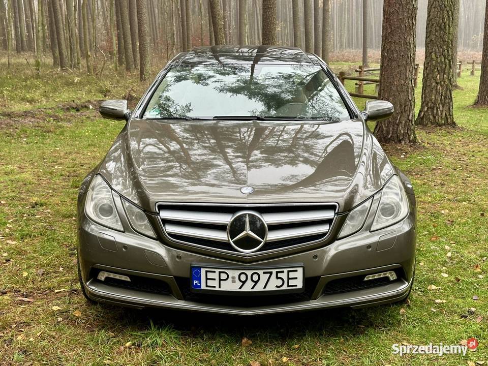 55L V8 M273 LPG Panorama HarmanKardon Distronic Klasa E Piotrków Trybunalski