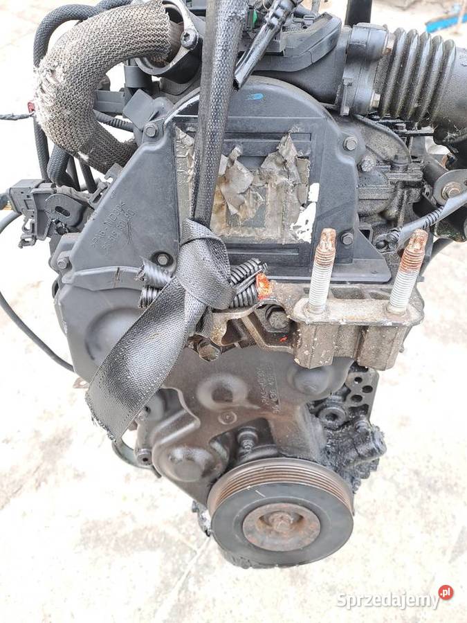 Ford Fokus MK2 16 TDCi 109 silnik kompletny kod śląskie Jastrzębie-Zdrój