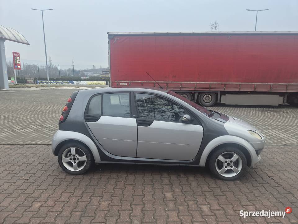 Smart ForFour 184 15d 68 Zadbany Panorama Nie szary Bujaków