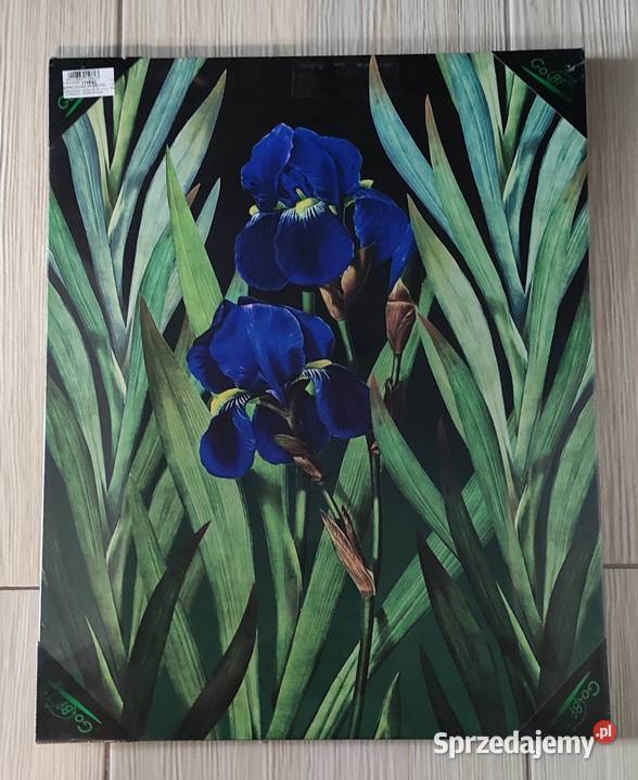 Obraz przepiękny wydruk Malarstwo małopolskie Kraków