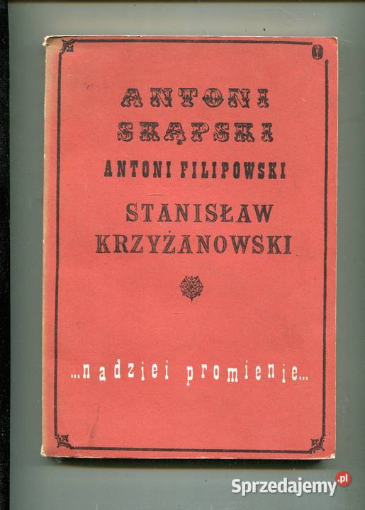 Nadziei promienie Trzy pamiętniki z XIX wieku zachodniopomorskie Szczecin
