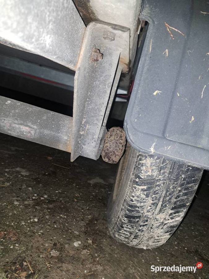 Przyczepka samochodowa Westfalia 250x115 Dmc 750 Kędzierzyn-Koźle