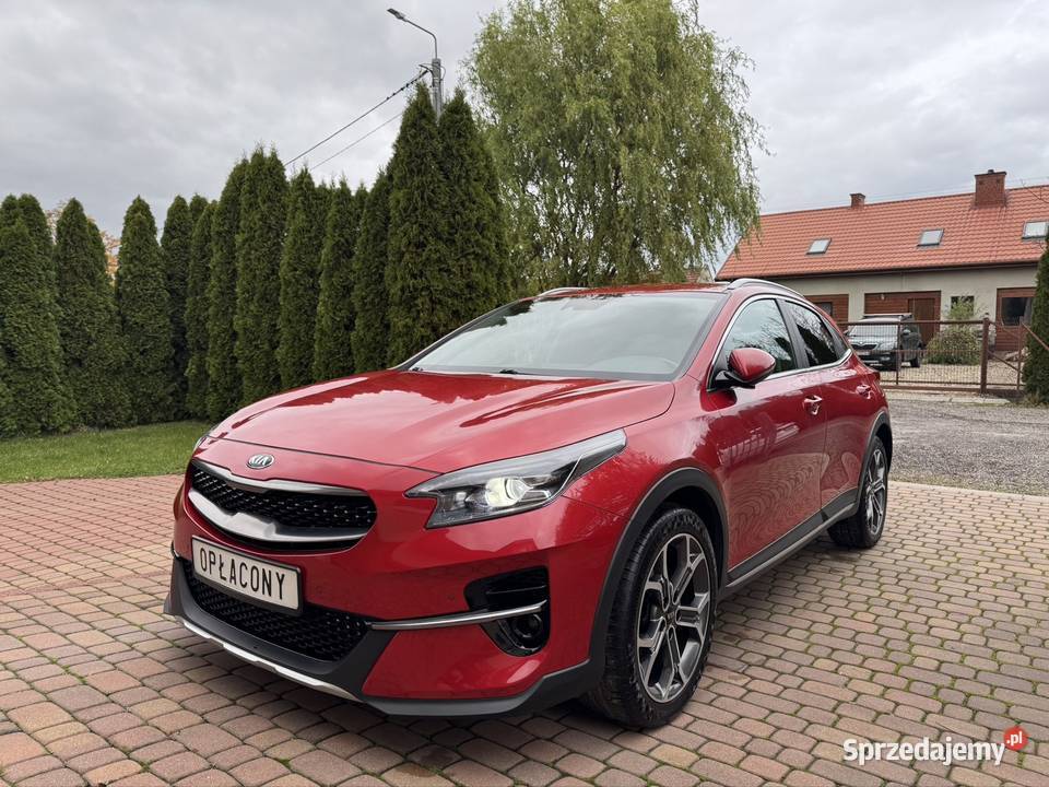 Kia XCeed 2021 Kamera Czujniki Alu Niski Kutno