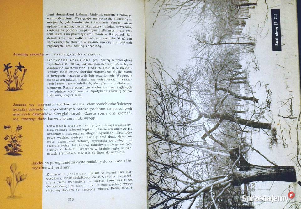 Kalendarz przyrody Henryk Sandner Zdzisława twarda Chełm