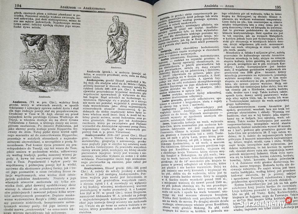 Encyklopedia Powszechna Gutenberga Tom 1 Chełm sprzedam