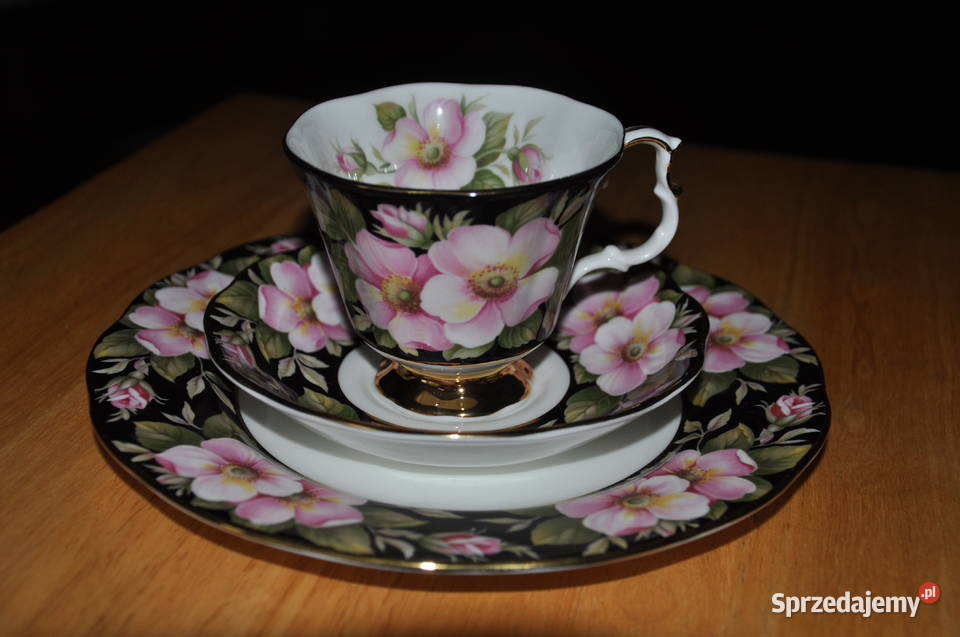Porcelana Royal Albert Provincial Flowers Tarnowskie Góry sprzedam