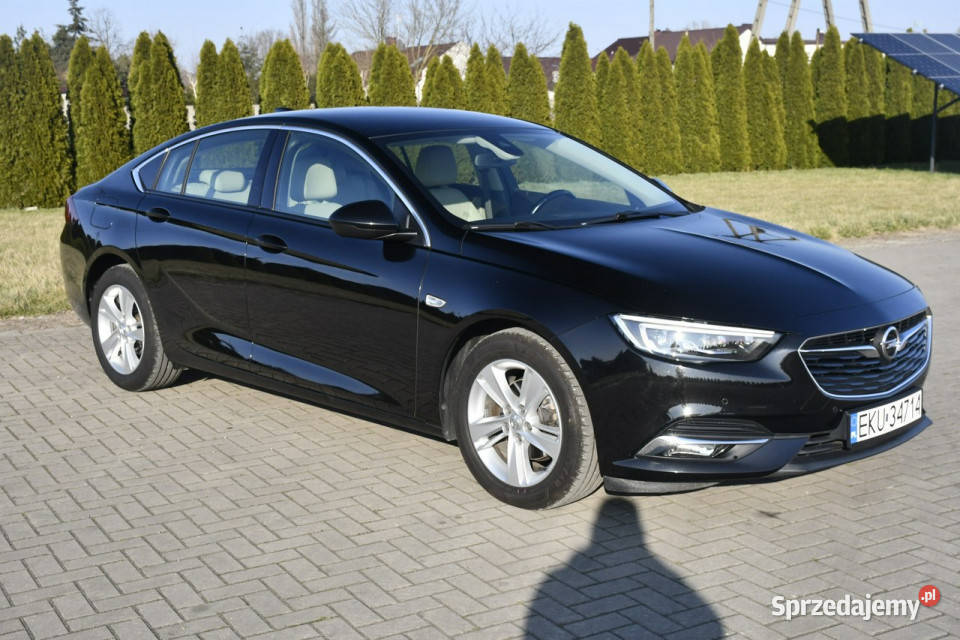 Opel Insignia 16d DUDKI11 NaviKlimatr 2 nawigacja łódzkie Kutno