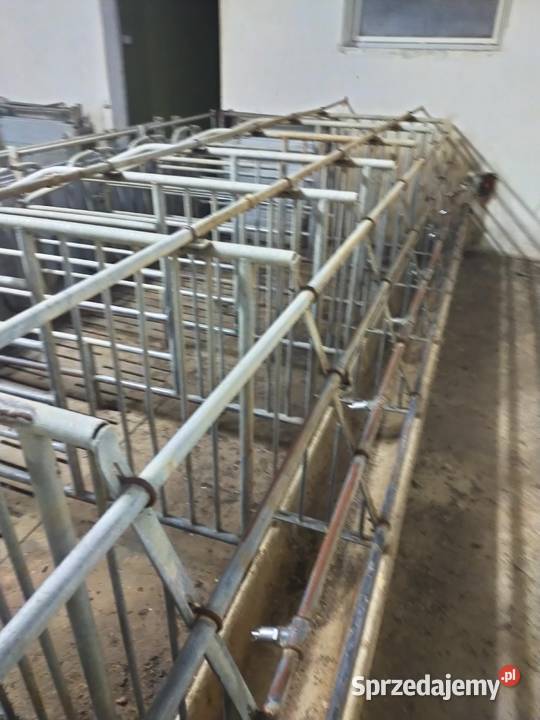 Kojce do loch Całość Pobiedziska