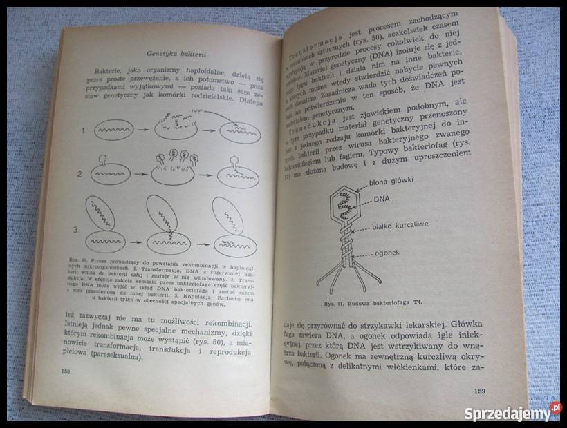 Podstawy biologii współczesnej Biologia komórki mazowieckie Płock sprzedam
