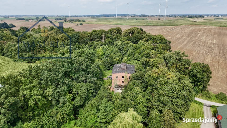Wyjątkowy dawny Młyn rzeką Osą Babalice