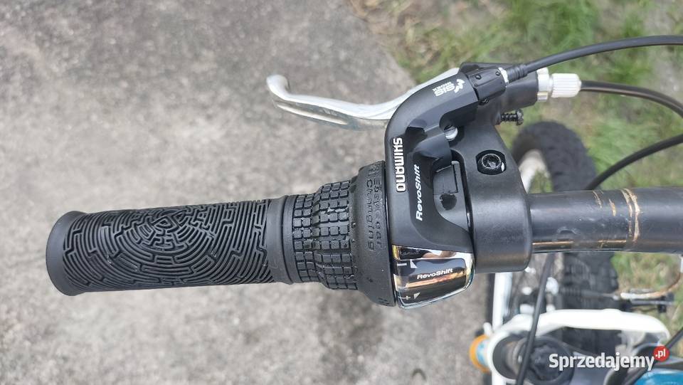 Rower Focus Rookie Raven MTB 24Revoshift ładny Chocianów sprzedam