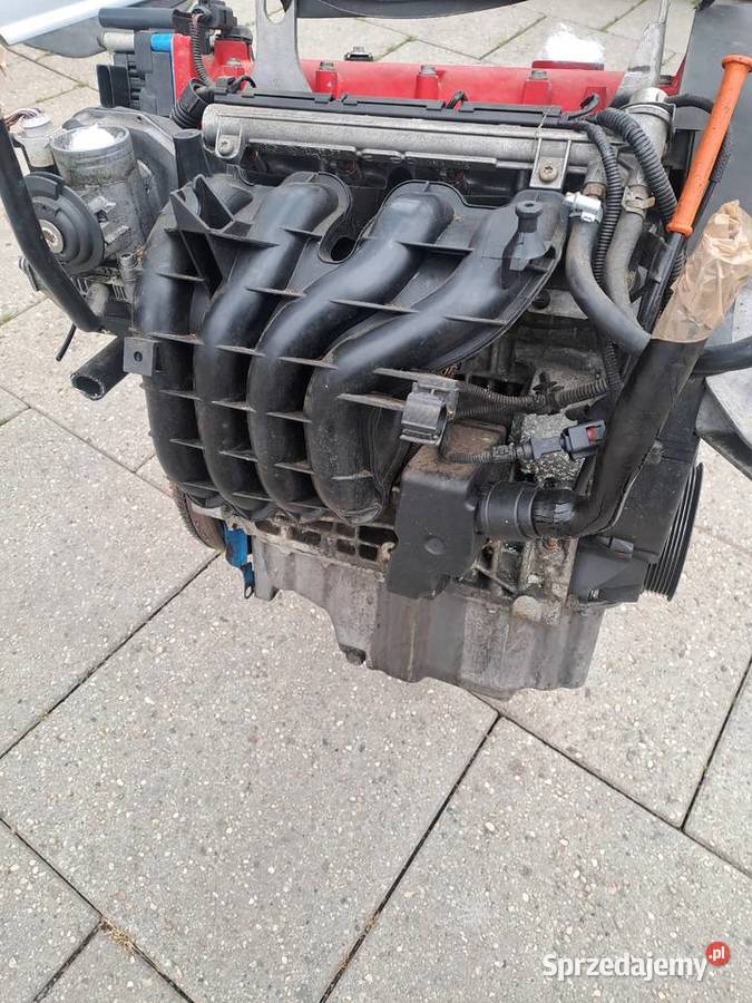 Volkswagen Golf IV 14 16v silnik kompletny kod Rok produkcji 2001 śląskie Jastrzębie-Zdrój