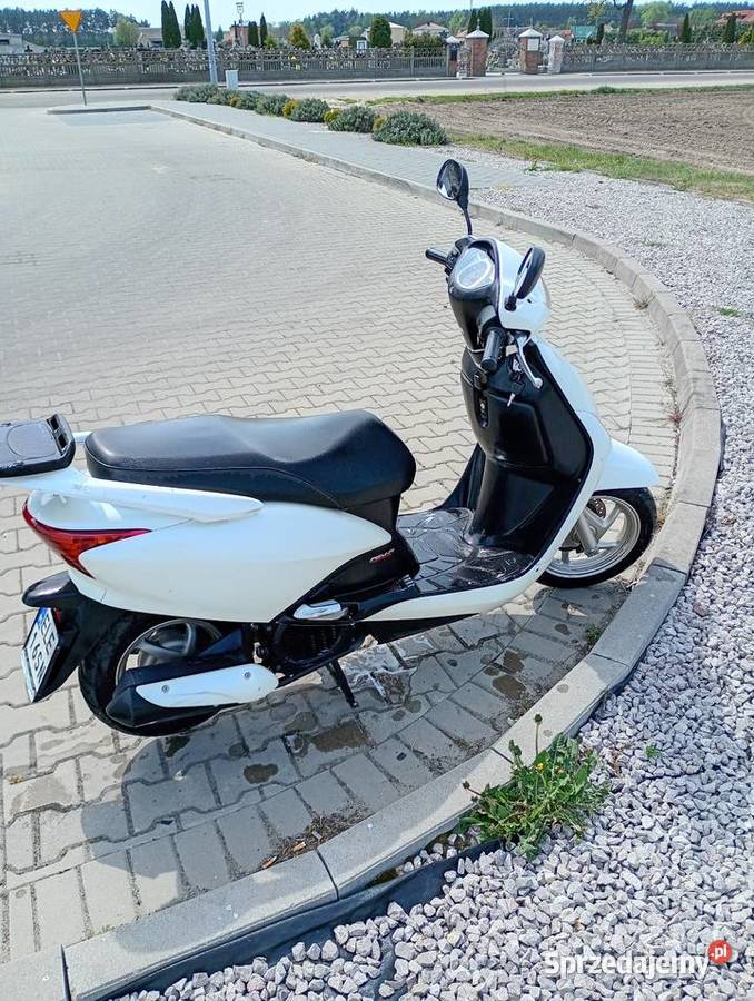 Honda Lead 110 bagażnik Świnice Warckie