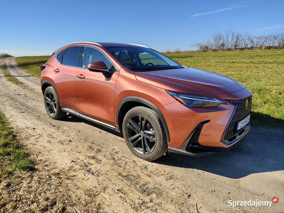 Lexus NX 350h AWD Prestige Design Premium Bukowie