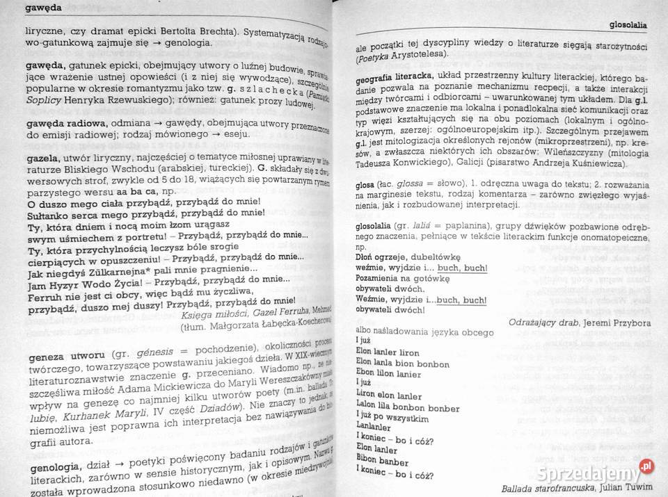 Szkolny słownik terminów literackich Tomasz Chełm