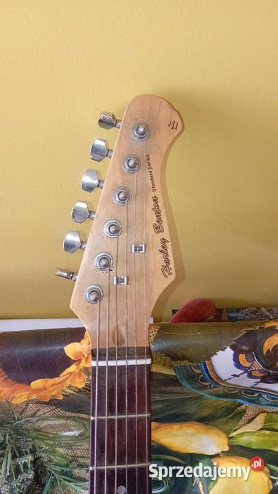 Gitara elektryczna praworęczna opolskie Grodków