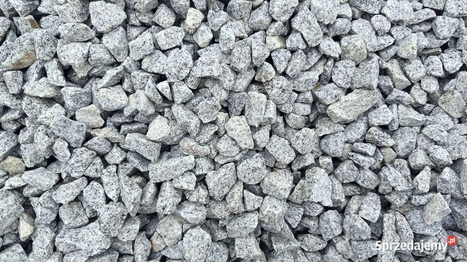 Grys granitowy ozdobny 816 1622 Dalmatyńczyk Sól Miłosław