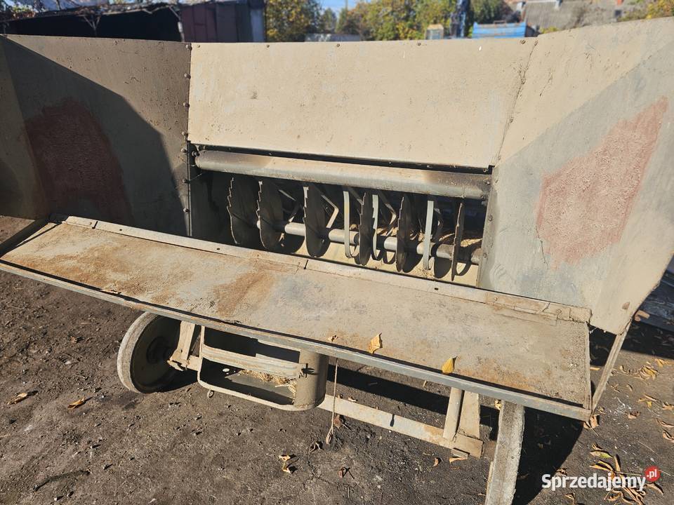 Prasa Kuna łódzkie Drzewica