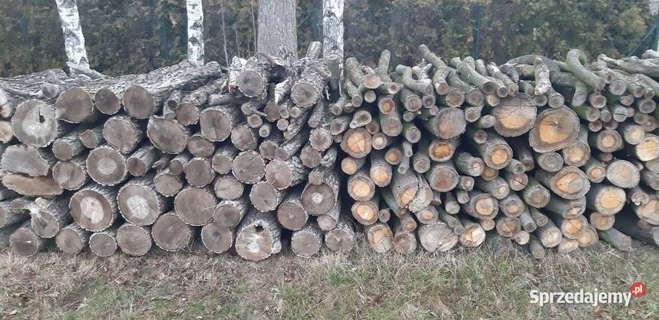 Drewno Radgoszcz