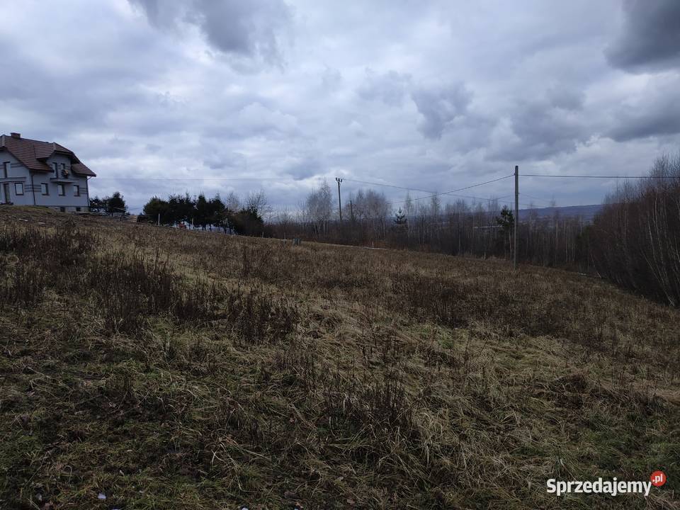 Działka budowlana koło Dębicy Dębica