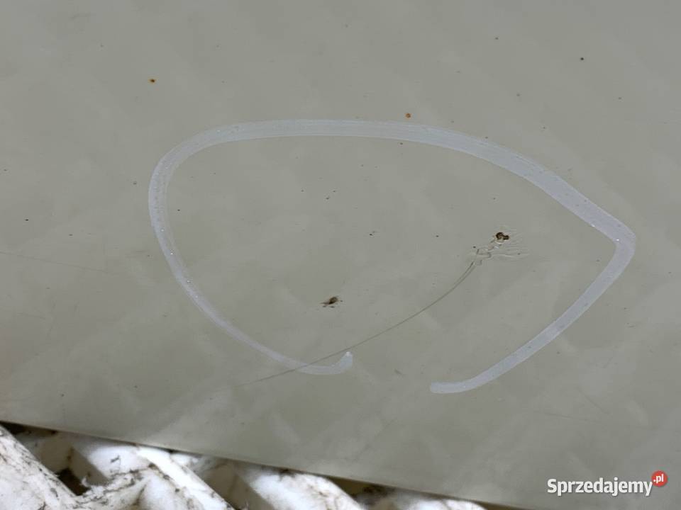 KLAPA TYŁ MINI R56 Hatchback 0514 pepper white