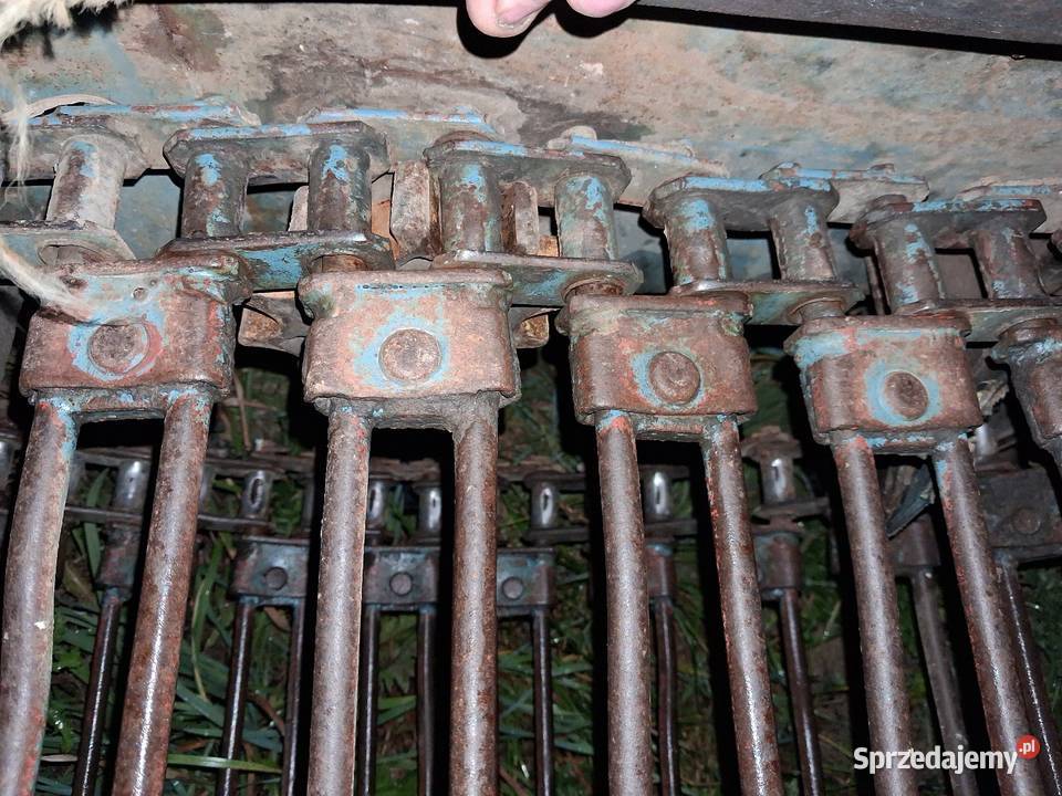 Kopaczka elewatorowa do ziemniakow Puńsk