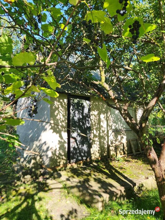 Działka ROD ogrodowa rekreacyjna woda warmińsko-mazurskie Działdowo sprzedam