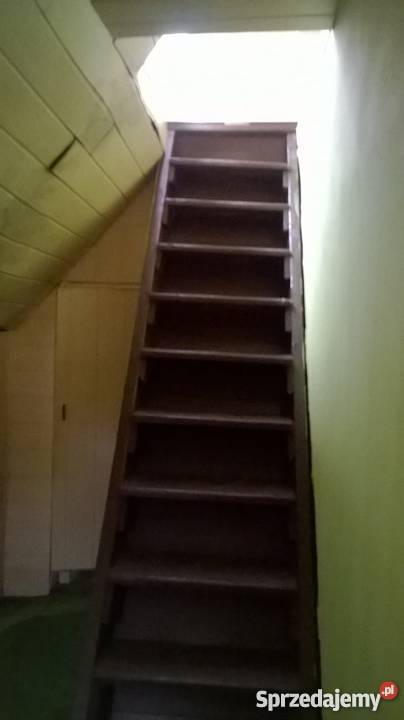 Ogródek Działkowy w MysłowiceLarysz na sprzedaż Mysłowice sprzedam